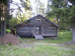 Sommarfjöse. Från Astor Näsmark